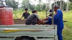 - Info Malang Raya