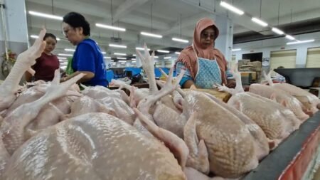 IMG 20250912 WA0003.webp - Info Malang Raya