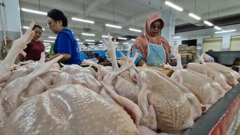 IMG 20250912 WA0003.webp - Info Malang Raya