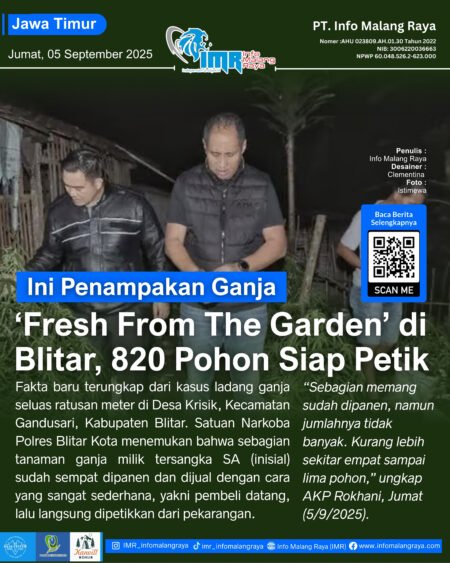 IMR 5 - Info Malang Raya