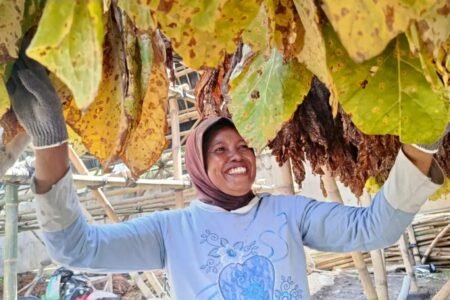 buruh tembakau.webp - Info Malang Raya