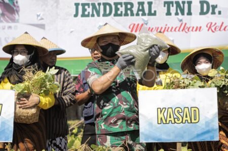 ksad panen kacang hijau dan penanaman jagung di gresik 11u89 dom - Info Malang Raya