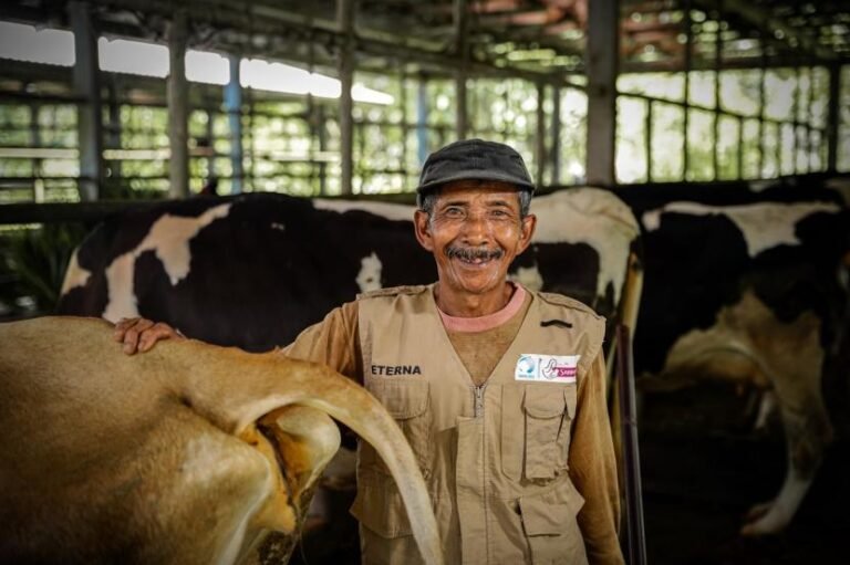 peternak sapi perah 240628113719 294 - Info Malang Raya