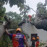 Angin Kencang Terjang Bondowoso, Rumah dan Gudang Ikan Rusak 0 129.webp - Info Malang Raya