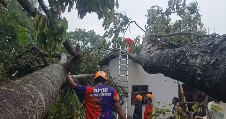 Angin Kencang Terjang Bondowoso, Rumah dan Gudang Ikan Rusak 0 129.webp - Info Malang Raya