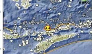 Gempa M 3.8 di Lembata NTT, Pusat Gempa Hari Ini via BMKG 20240608 gempa alor - Info Malang Raya