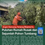 6 - Info Malang Raya