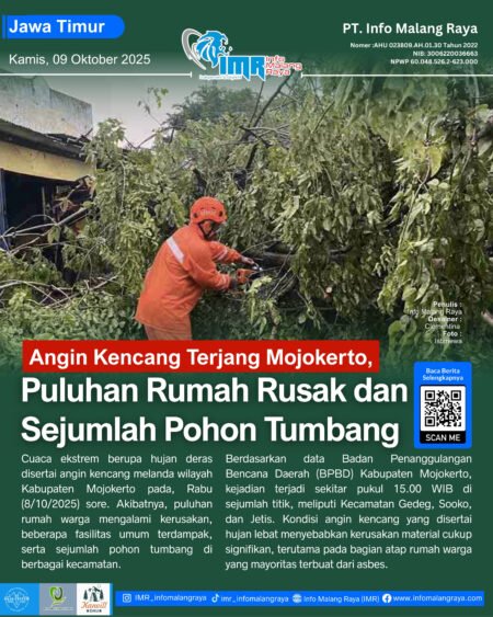 6 - Info Malang Raya