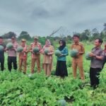 AA1OqpIt - Info Malang Raya