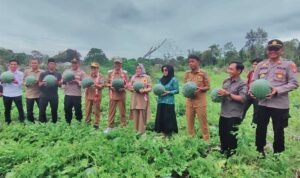 AA1OqpIt - Info Malang Raya