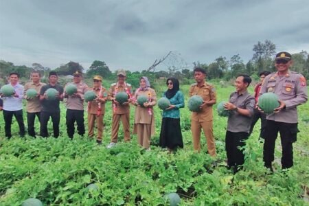 AA1OqpIt - Info Malang Raya