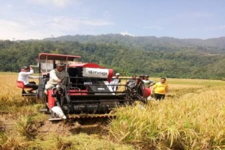 Petani Psm Panen 578x385 1 - Info Malang Raya