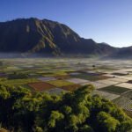 Festival Sembalun 2025 Dimulai, Wisata dan Olahraga Bersinergi di Kaki Rinjani desa sembalun fb - Info Malang Raya