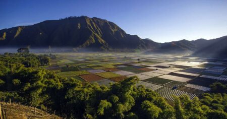 Festival Sembalun 2025 Dimulai, Wisata dan Olahraga Bersinergi di Kaki Rinjani desa sembalun fb - Info Malang Raya