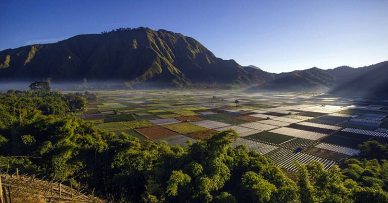 Festival Sembalun 2025 Dimulai, Wisata dan Olahraga Bersinergi di Kaki Rinjani desa sembalun fb - Info Malang Raya