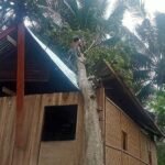 gambar 1645597599 - Info Malang Raya