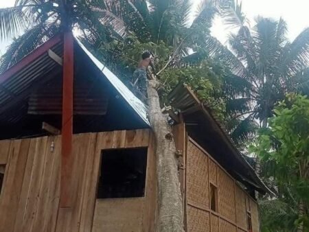 gambar 1645597599 - Info Malang Raya