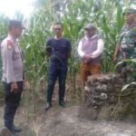 ketahanan pangan lok - Info Malang Raya