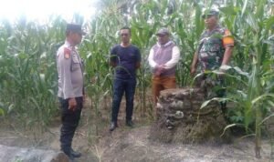 ketahanan pangan lok - Info Malang Raya