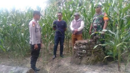 ketahanan pangan lok - Info Malang Raya