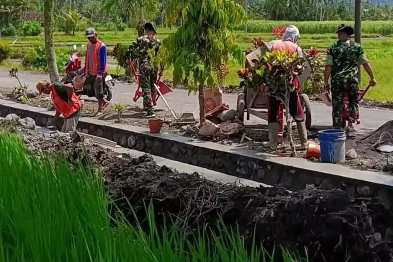 Prajurit TNI AU Lanud Abdulrachman Saleh Turun ke Sawah, Bantu Warga Bangun Drainase di Malang lanud.webp - Info Malang Raya