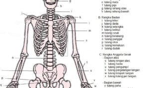 rangka revisi - Info Malang Raya