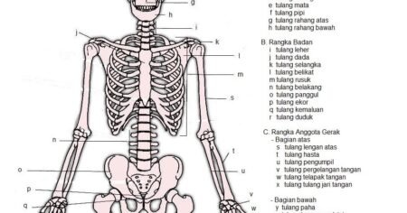 rangka revisi - Info Malang Raya