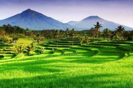 sedang 1519093467tanah desa 1 - Info Malang Raya