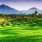 Desa Gempol Jalan Makam Beton sedang 1519093467tanah desa - Info Malang Raya