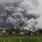 0d8d89d6b2ef - Info Malang Raya