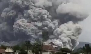 0d8d89d6b2ef - Info Malang Raya