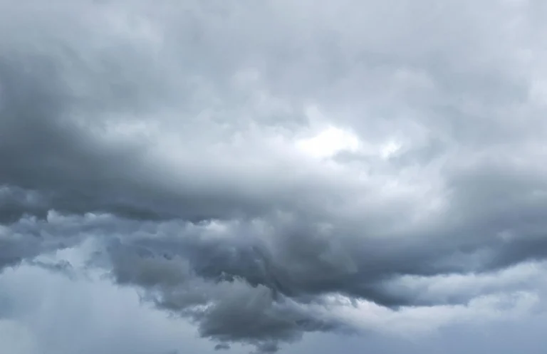 1000506010 1.webp - Info Malang Raya