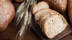 Berapa Lama Roti Macan Bandung Tahan? Ini yang Perlu Diketahui - Info Malang Raya