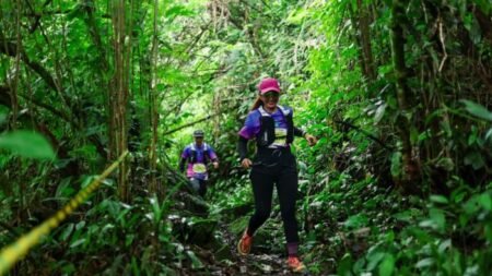 AA1QDK3H - Info Malang Raya