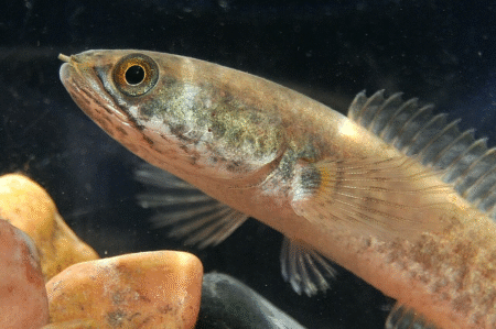 AA1QHFwL 2 - Info Malang Raya