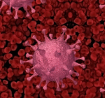 AA1QwoLN - Info Malang Raya