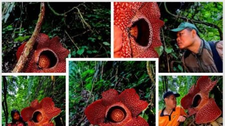 AA1R1ssW - Info Malang Raya