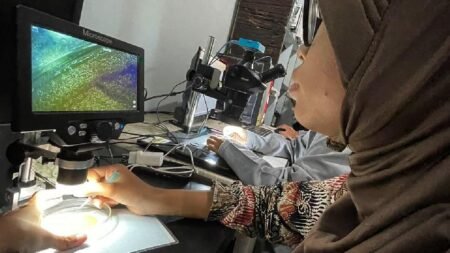 Mikroplastik Bawa Bakteri Tahan Obat, Ini Caranya AA1Rmp4g - Info Malang Raya