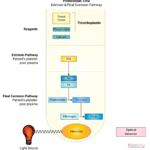 PT Oji Indo Makmur Perkasa Membuka Rekrutmen di Cikarang, Cek Posisi dan Persyaratan Lamaran PT wb 01 - Info Malang Raya