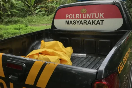 Kerangka Tanpa Identitas di Hutan Nglanduk Madiun Diduga Berjenis Kelamin Perempuan penemuan kerangka.webp - Info Malang Raya