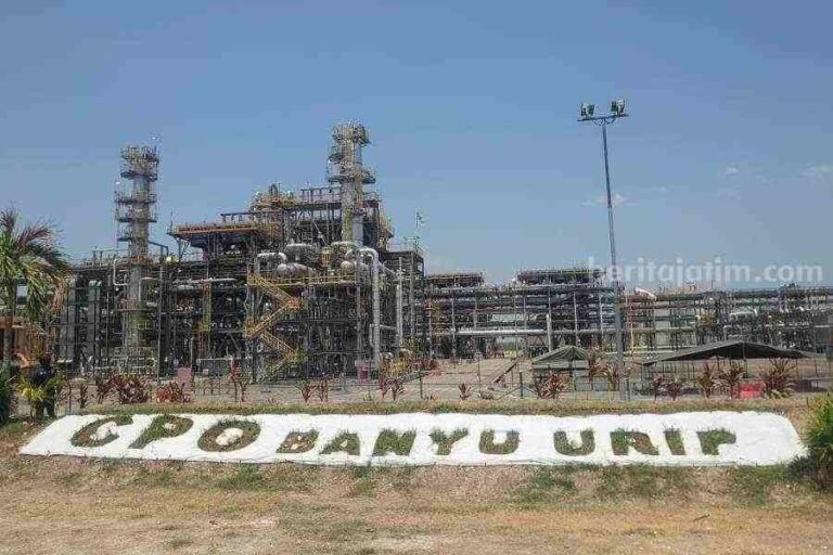 1000606061 11zon - Info Malang Raya