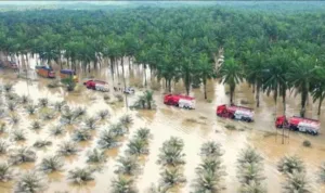 BNPB Sebut Perbaikan Bencana Sumatra Butuh Rp51,82 Triliun | LPP RRI 25e0wjok839rvdj.webp.webp - Info Malang Raya