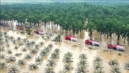 25e0wjok839rvdj.webp.webp - Info Malang Raya