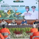 Pemkot Mojokerto Perkuat Kapasitas Petani Jeruk, Siapkan Wisata Petik Jeruk di TBM tanam jeruk.webp - Info Malang Raya