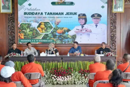 Pemkot Mojokerto Perkuat Kapasitas Petani Jeruk, Siapkan Wisata Petik Jeruk di TBM tanam jeruk.webp - Info Malang Raya