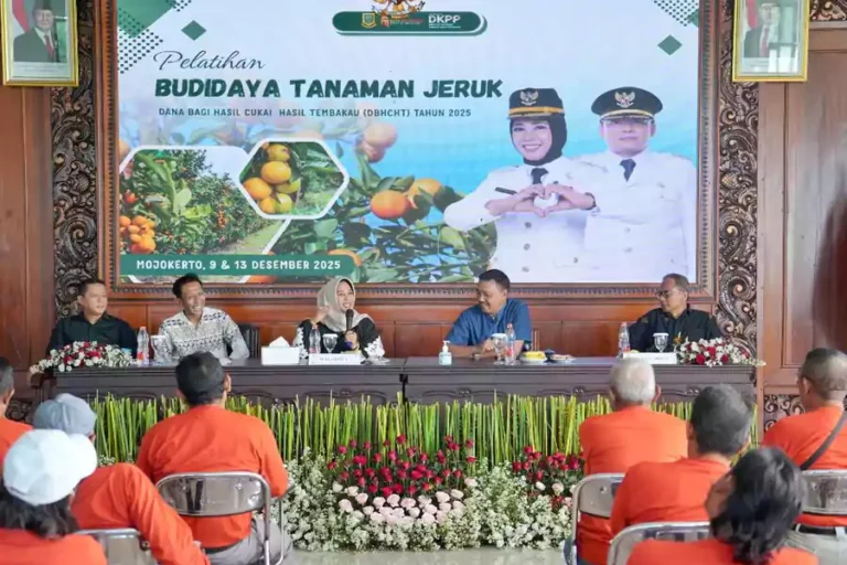 Pemkot Mojokerto Perkuat Kapasitas Petani Jeruk, Siapkan Wisata Petik Jeruk di TBM tanam jeruk.webp - Info Malang Raya