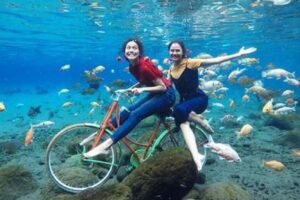 Cuaca Ekstrem Ancam India, Beban Listrik Melonjak Tajam