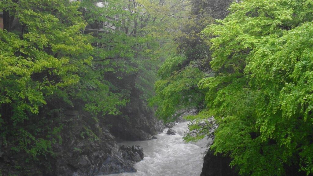 Perjalanan Satu Hari ke Gunung Mitake dari Tokyo, Jalan Kaki dengan Anggaran Rp650 Ribu