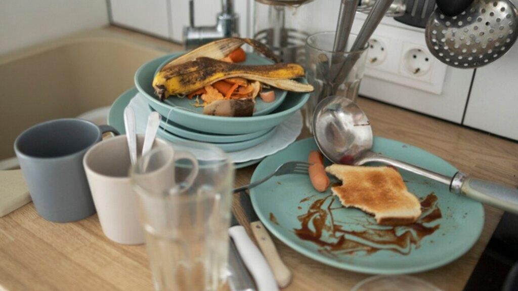 10 Tips Ampuh Bebas Lalat dan Nyaman di Rumah