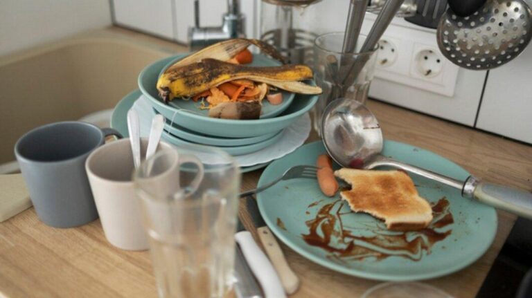 10 Tips Ampuh Bebas Lalat dan Nyaman di Rumah